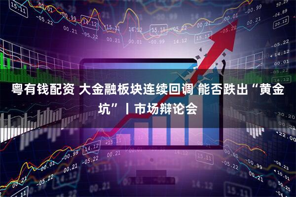 粤有钱配资 大金融板块连续回调 能否跌出“黄金坑”丨市场辩论会