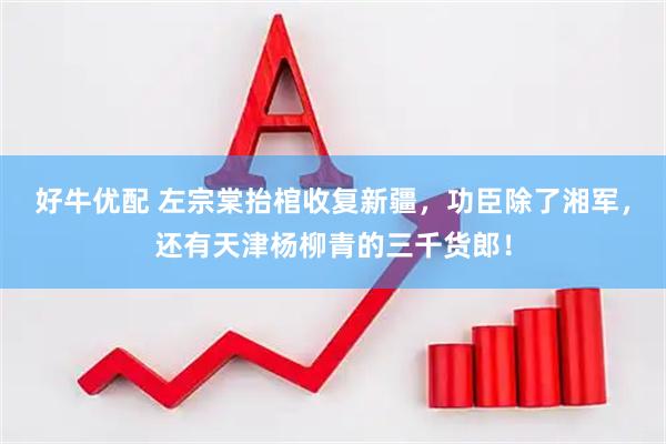 好牛优配 左宗棠抬棺收复新疆，功臣除了湘军，还有天津杨柳青的三千货郎！